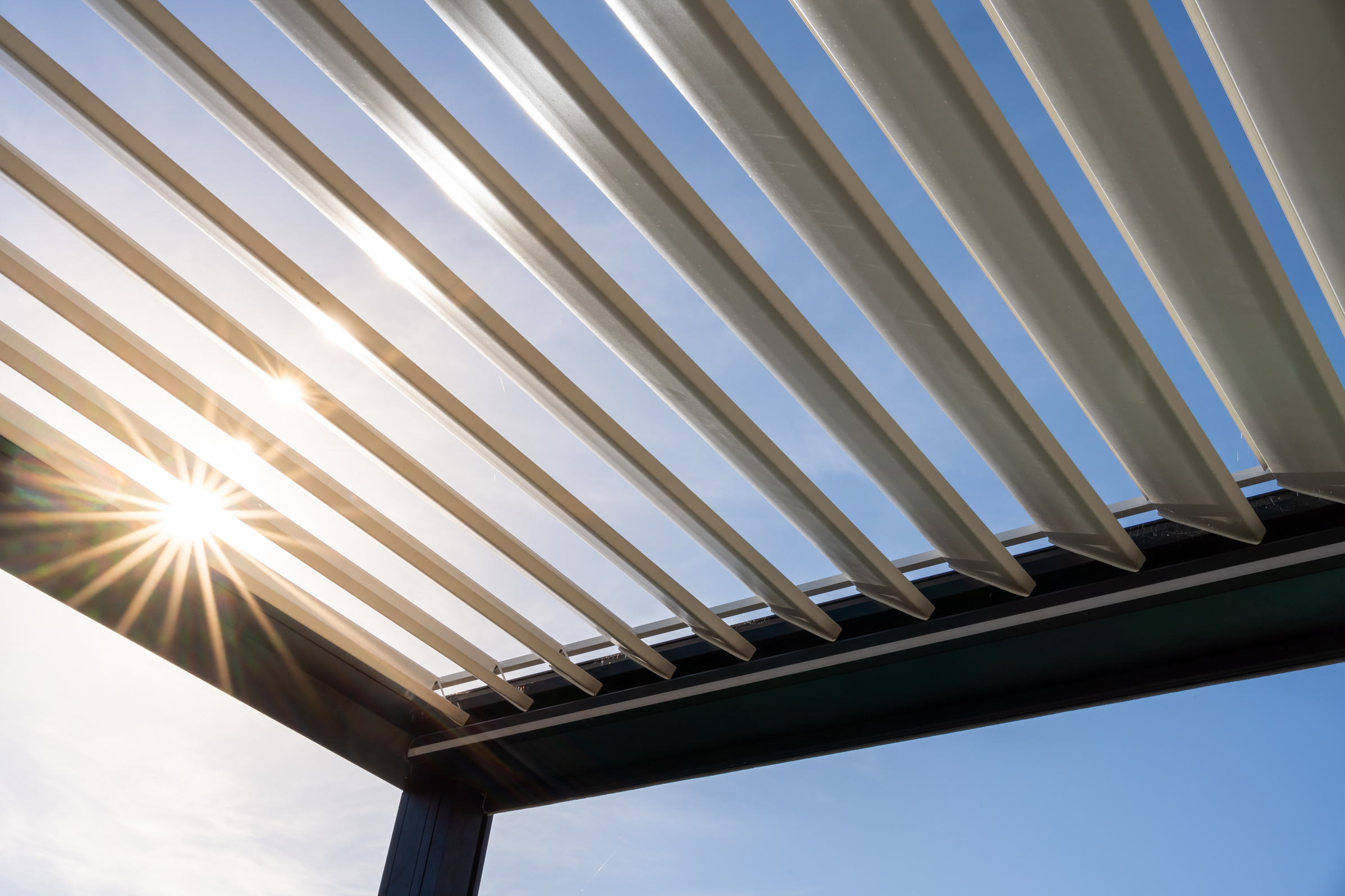 Trendy outdoor patio metallic pergola.